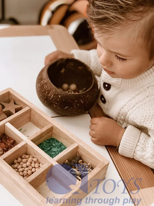 QToys Australia Natural (USA) Coconut Sensory Box